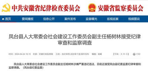 安徽的爆料新闻是什么,揭秘神秘事件背后的真相  第1张