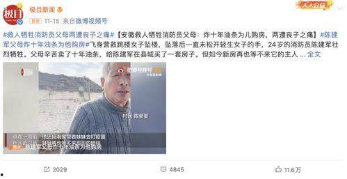 热搜最后爆料岳鹏弹幕视频,揭秘背后真相  第2张