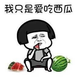 娱乐吃瓜好看吗,一场视觉盛宴的感官之旅  第2张